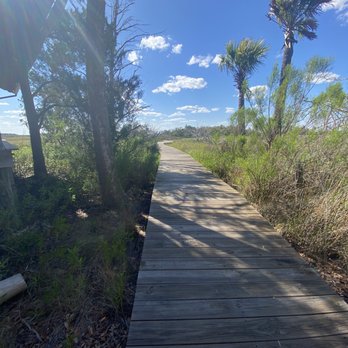 Outside Savannah - Wooden path on Page Island. - Boat Tours Near Me - Savannah, Georgia Outside Savannah - Wooden path on Page Island. - Boat Tours Near Me - Savannah, Georgia