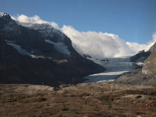 Jasper National Park Icefield Information Centre and Glacier Gallery by null