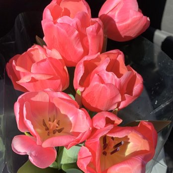Walmart Supercenter - $4.99 indoor potted tulips - Department Stores Near Me - West Sacramento, California Walmart Supercenter - $4.99 indoor potted tulips - Department Stores Near Me - West Sacramento, California