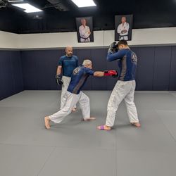 Royce Gracie Academy of Glastonbury - Striking