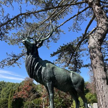 Evergreen Cemetery - One-eyed elk - Funeral Services & Cemeteries Near Me - Portland, Maine Evergreen Cemetery - One-eyed elk - Funeral Services & Cemeteries Near Me - Portland, Maine