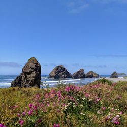 Myers Creek Beach - Myers beach