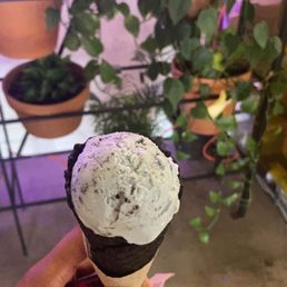 1 scoop Cookie Monster 1 scoop Cookie Monster