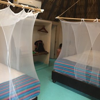 Papaya Playa Hotel - Restaurants Near Me - Tulum, ROO Papaya Playa Hotel - Restaurants Near Me - Tulum, ROO