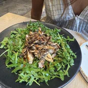 Paloma Venice - Arugula Salad - Mediterranean Near Me - Los Angeles, California Paloma Venice - Arugula Salad - Mediterranean Near Me - Los Angeles, California