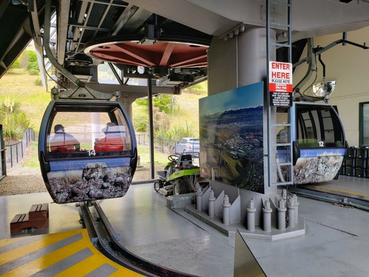 Christchurch Gondola by null