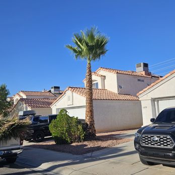 Patrones Landscaping - Trimmed tree and bush - Irrigation Near Me Patrones Landscaping - Trimmed tree and bush - Irrigation Near Me