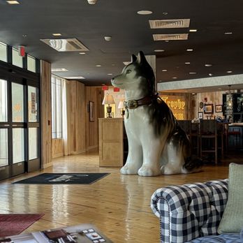 Graduate by Hilton Storrs - This is the entrance lobby. You could see the big husky. - Hotels Near Me - Storrs, Connecticut