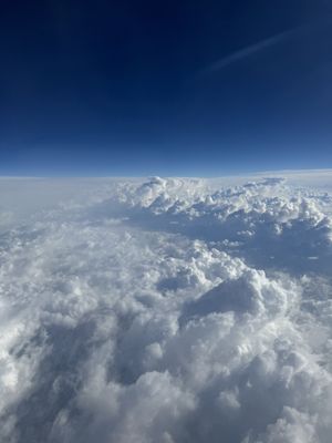 St. Pete–Clearwater International Airport by null