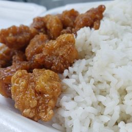 a plate of rice and meat