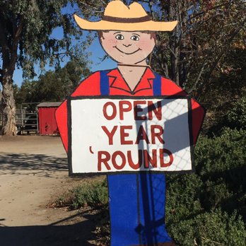 Farm Stand West, Fresh Produce, Pumpkin Patch, Christmas Trees - Fruits & Veggies Near Me - Escondido, California Farm Stand West, Fresh Produce, Pumpkin Patch, Christmas Trees - Fruits & Veggies Near Me - Escondido, California