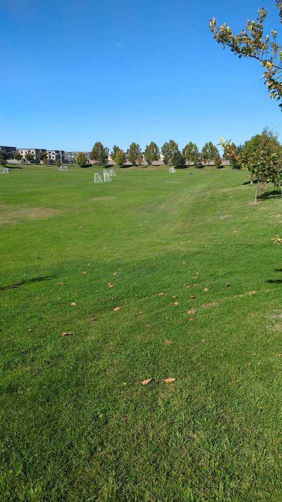 DeBenedetti Park Logo