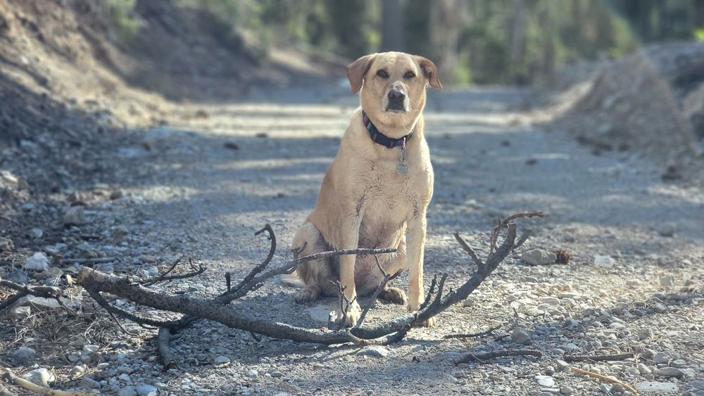 Deer Creek Trailhead Logo