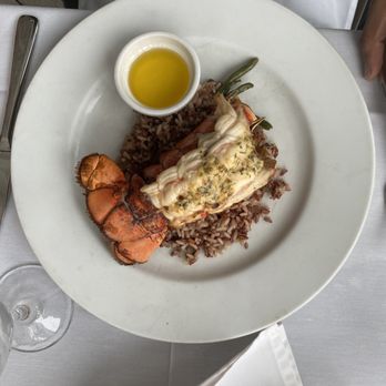 Yellow Dog Cafe - Lobster - Seafood Near Me - Malabar, Florida Yellow Dog Cafe - Lobster - Seafood Near Me - Malabar, Florida