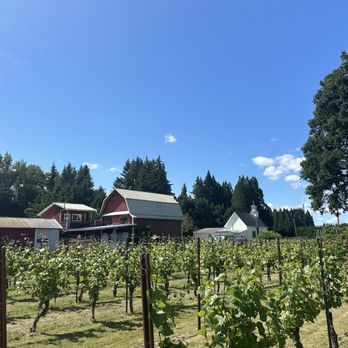 Hanson Vineyards - Vineyard - Wineries Near Me - Woodburn, Oregon Hanson Vineyards - Vineyard - Wineries Near Me - Woodburn, Oregon