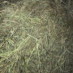 Red Barn Feed Supply 10 Reviews Pet Stores 12948