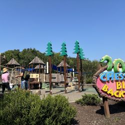 Chessie's Big Backyard