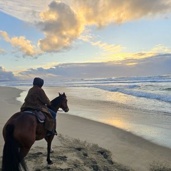 Silvermist Stables - Moss - Horse Boarding Near Me - Castroville, California