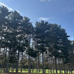 Whitetail Golf Course