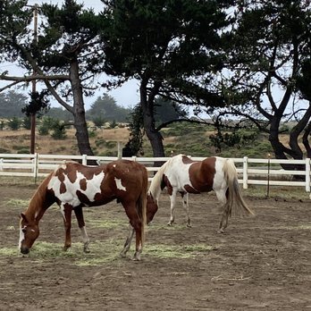 Five Brooks - Horseback Riding Near Me - Bodega Bay, California Five Brooks - Horseback Riding Near Me - Bodega Bay, California