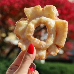 Sour Cream Old Fashioned Cake Donut @tiffhuangry