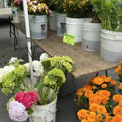 Cypress Flower Farm - Colorful blooms