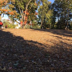 Port Chester Dog Park
