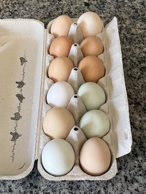 Redhouse Beef by null