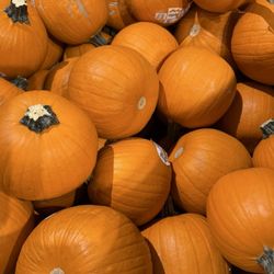 Ralphs - Pumpkins
