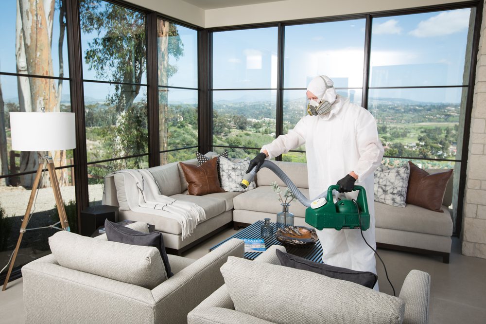 STEAMCO CARPET CLEANING AND RESTORATION Updated May 2024 102 Photos