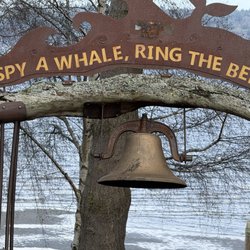 Langley Whale Center