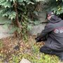 Eastside Pest Control