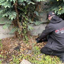Eastside Pest Control