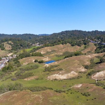 David Lyng Real Estate - Real Estate Agents Near Me - Scotts Valley, California David Lyng Real Estate - Real Estate Agents Near Me - Scotts Valley, California