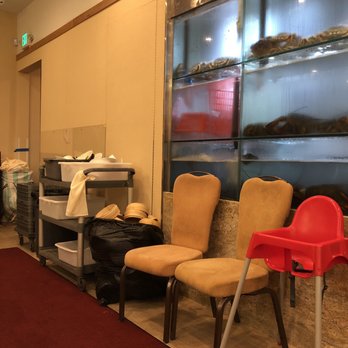 King Wah - So far, only live lobster and crabs and no fish. Not sure why they leave dirty dishes in plain sight. - Dim Sum Near Me - Pleasanton, California King Wah - So far, only live lobster and crabs and no fish. Not sure why they leave dirty dishes in plain sight. - Dim Sum Near Me - Pleasanton, California