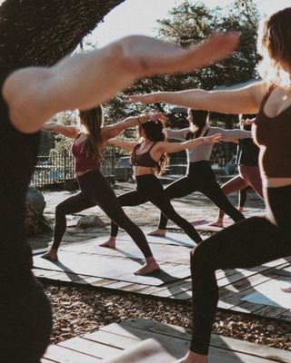 Wild Heart Yoga by null