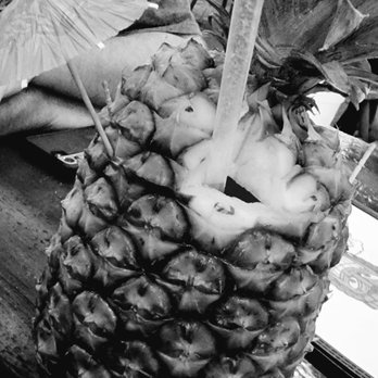 Cuckoo Coconuts Waikiki - Real Pina Colada - Cocktail Bars Near Me - Honolulu, Hawaii