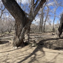Tony Grampsas Dog Park