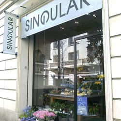 Envit Singular