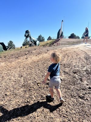 Dinosaur Park by null
