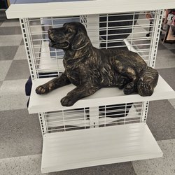Ross Dress for Less - Just because