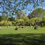 Gorsedd Gardens