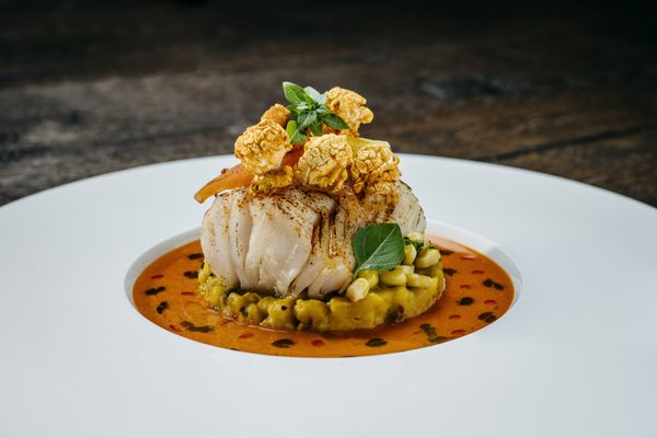Ai Pero PURS Authentic Italian Trattoria by null