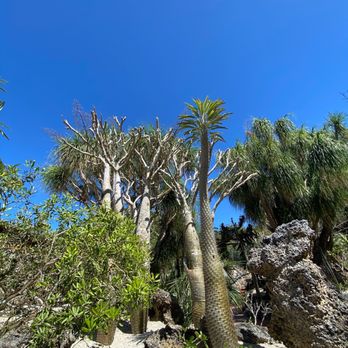 Pinecrest Gardens - This is miami yea - Botanical Gardens Near Me - Pinecrest, Florida