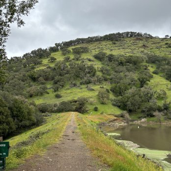 Skyline Wilderness Park - Parks Near Me - Napa, California Skyline Wilderness Park - Parks Near Me - Napa, California
