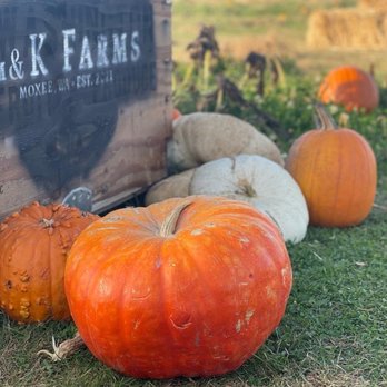 Em&K Farms - Pumpkin Patches Near Me - Moxee, Washington