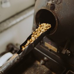 Java Works Coffee Roasters - Sample roasting El Salvador - Finca San Antonio