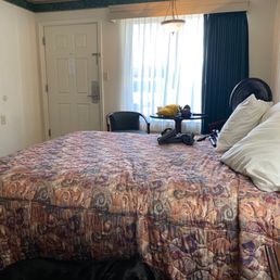 Dog friendly room