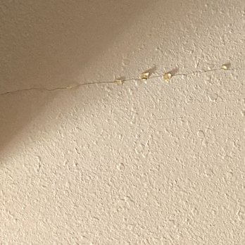 Desert Canyon Roofing - This is how the cracked my ceiling and left the ac drainage disconnected.. - Roofing Near Me - Glendale, Arizona