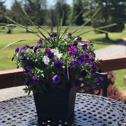 Tawas Creek Golf Course - Deck flowers